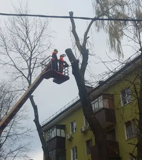 Арбористы в автовышке